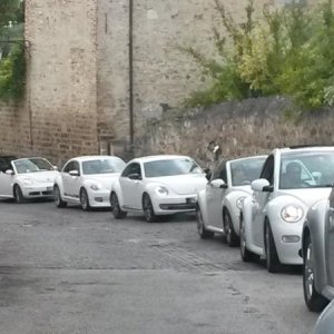 Raduno d' autunno 2015 AP - Abbazia di Praglia e Arqu? Petrarca