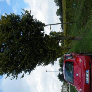 Colli euganei 2015 Raduno d'Autunno