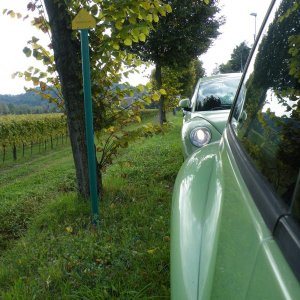 Colli euganei 2015 Raduno d'Autunno