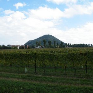Colli euganei 2015 Raduno d'Autunno