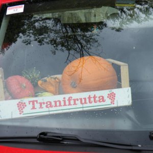 Colli euganei 2015 Raduno d'Autunno