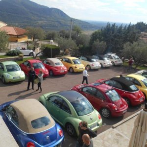 Colli euganei 2015 Raduno d'Autunno