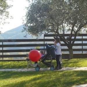 Colli euganei 2015 Raduno d'Autunno