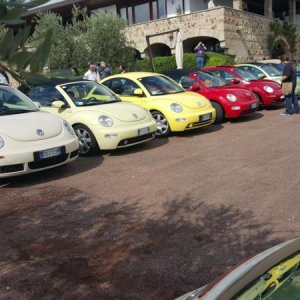 Raduno di Autunno 2015 nei Colli Euganei