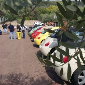 Raduno di Autunno 2015 nei Colli Euganei