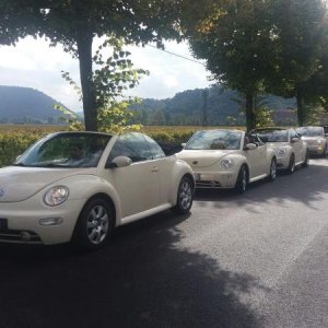 Raduno di Autunno 2015 nei Colli Euganei