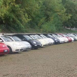 Raduno di Autunno 2015 nei Colli Euganei