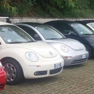 Raduno di Autunno 2015 nei Colli Euganei