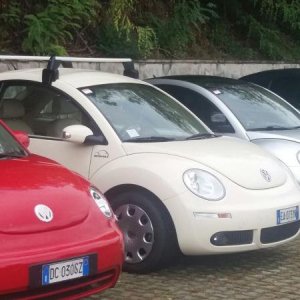 Raduno di Autunno 2015 nei Colli Euganei