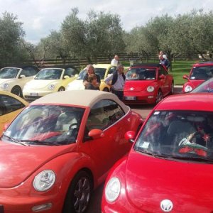 Raduno di Autunno 2015 nei Colli Euganei