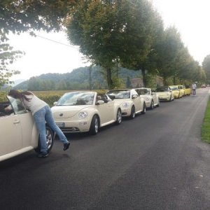 Raduno di Autunno 2015 nei Colli Euganei