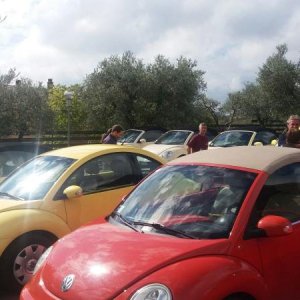 Raduno di Autunno 2015 nei Colli Euganei