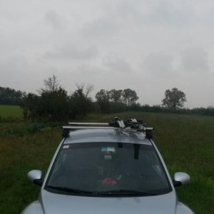 Nel prato con la mia NB