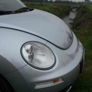 Nel prato con la mia NB