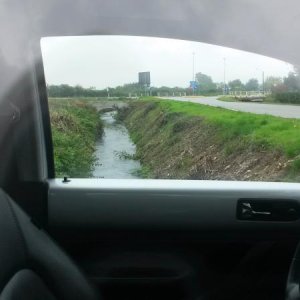 Nel prato con la mia NB