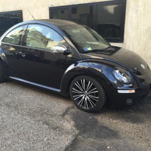 MY BEETLE