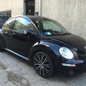MY BEETLE