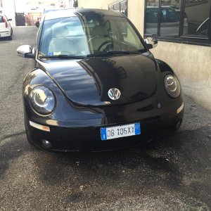 MY BEETLE