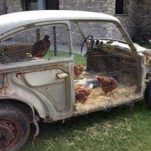 L'utilit? del maggiolino