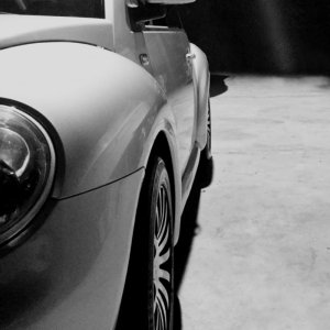 12091196 10206198992067548 616384522046615492 o