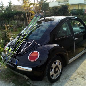 new beetle di pantaleone