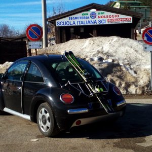 new beetle di pantaleone