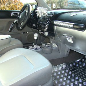 new beetle di pantaleone