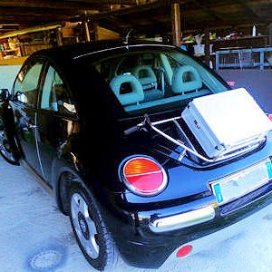 new beetle di pantaleone