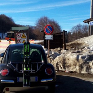 new beetle di pantaleone