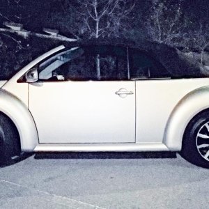 sempre piu bella la mia niu