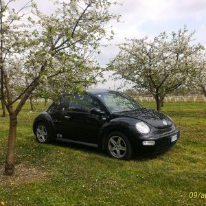 p 20160409 143609 1 p