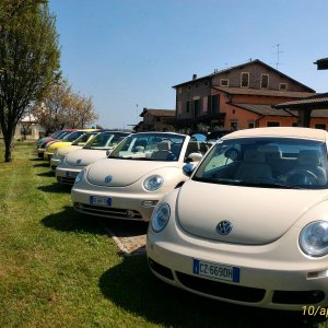 p 20160410 140311 1 p