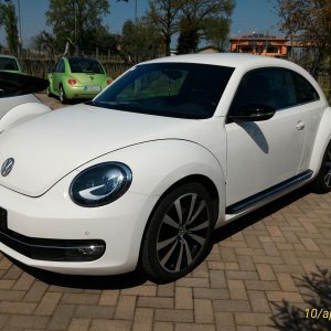 p 20160410 140616 1 p