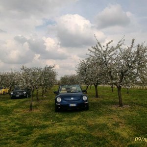 p 20160409 144908 1 p