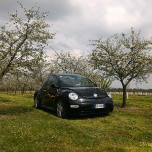 p 20160409 142839 1 p