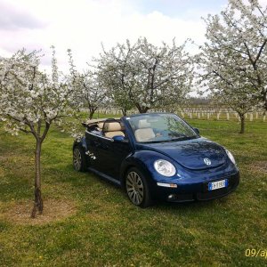 p 20160409 144918 1 p