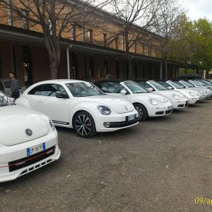 p 20160409 163211 1 p