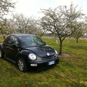 p 20160409 145047 1 p