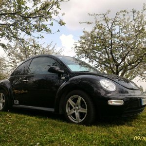 p 20160409 145056 1 p