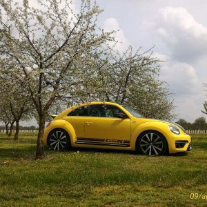 p 20160409 143445 1 p