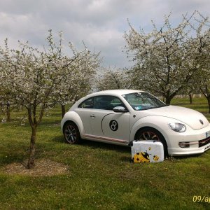 p 20160409 143519 1 p