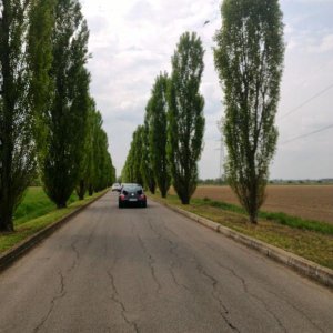 p 20160409 154530 1 p