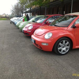 p 20160409 163558 1 p