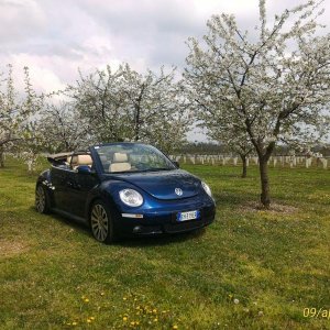 p 20160409 142721 1 p