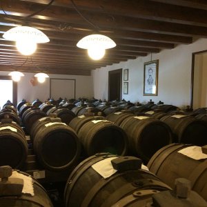 34? raduno 2016 Modena Maranello