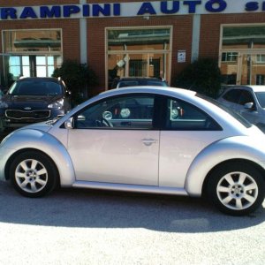 Alique and New beetle