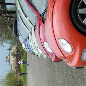 Raduno di Primavera 2016