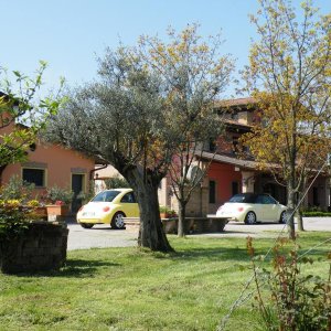 Raduno di Primavera 2016