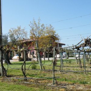 Raduno di Primavera 2016