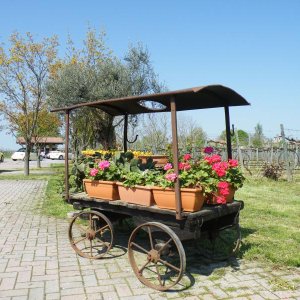 Raduno di Primavera 2016